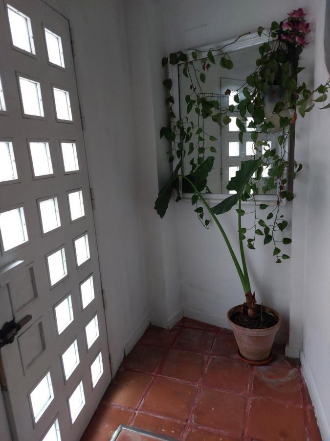 Apartamento Tipo Loth Alameda Sevilla Eksteriør billede
